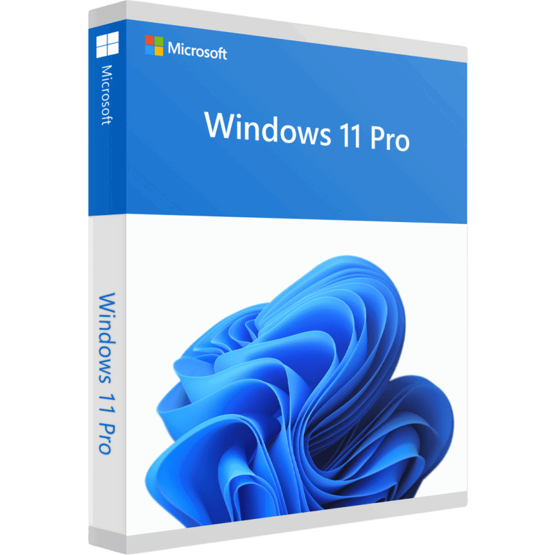 Windows 11