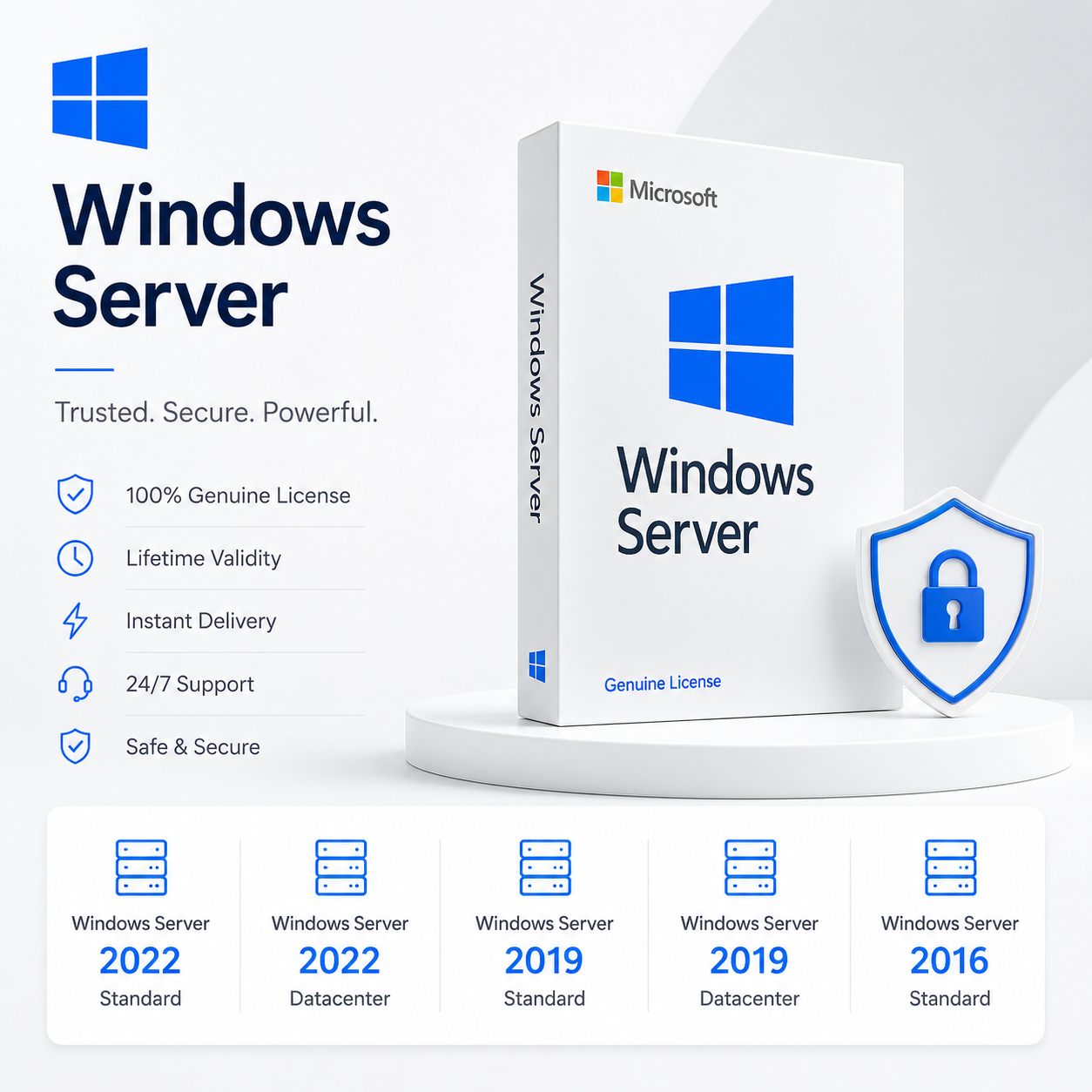 Microsoft Windows Server